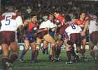 Andrew Johns attempts to put a stop to the broughaha.