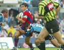 Timana Tahu tries to find a gap.