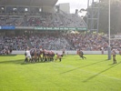 Newcastle about to spread the ball after a scrum win.
